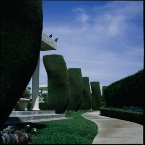 Meet your Posher, Blake